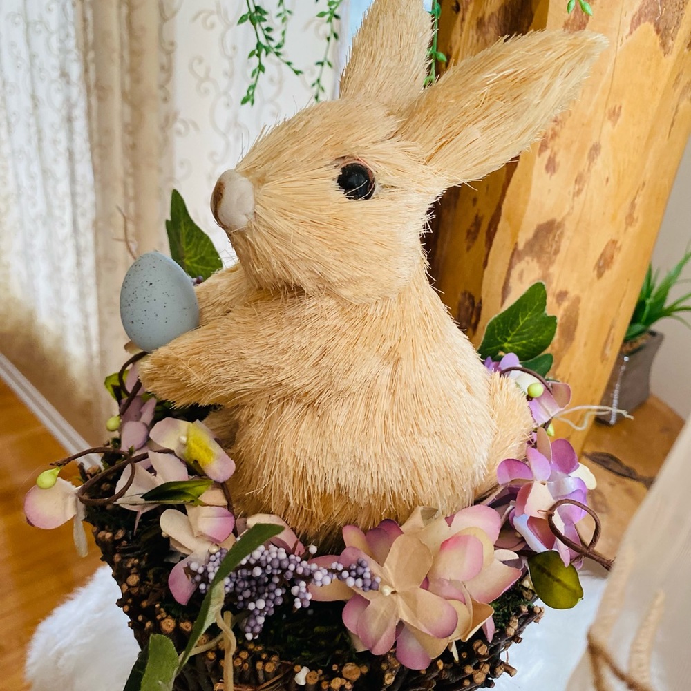 Bunny - Picture 2 of 7